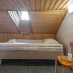 Koda Halo - Sauna, Parking & Playstation