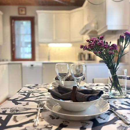 Koda Halo - Sauna, Parking & Playstation Apartment *